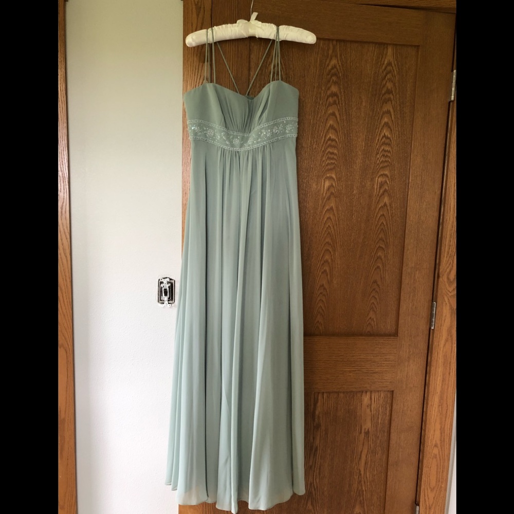 David’s Bridal Bridesmaid Dress (Style: F12495)